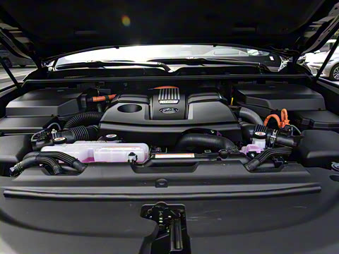 2025�� 700h VIP������