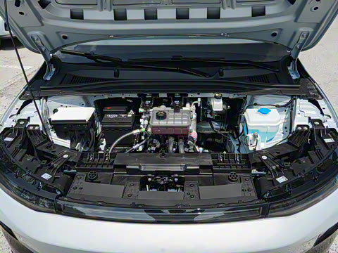 2025�� 550�����״��