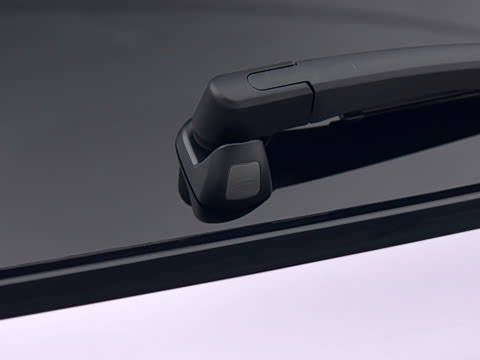 2025�� FREE+ ����Ǭ����