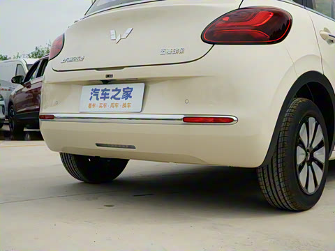 2025�� 333km ������