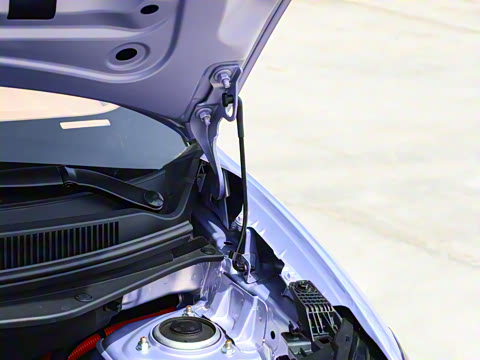 2025�� 333km ������