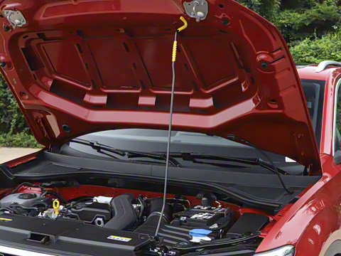 2025�� �Ŀ�� 300TSI DSG���������