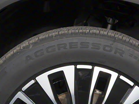 2025�� 1.5T 116km ������ 5��