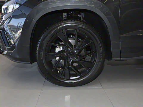 2024�� 280TSI �Զ��콢�߹��