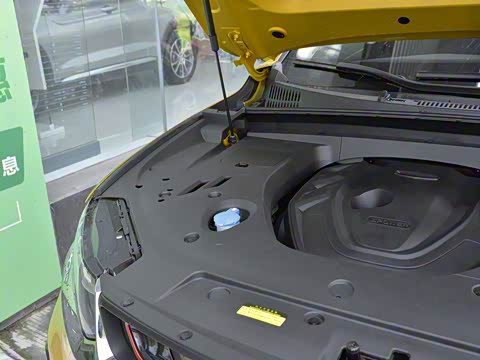 2019�� 350T Ԧ����