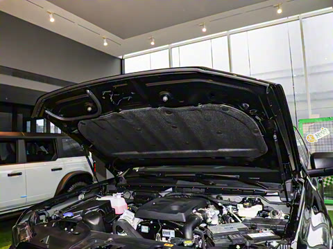 2025�� ̽�������Զ��� ����