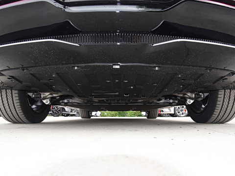 2025�� Max�����