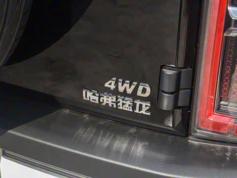 2025�� 2.0T 4WD Pro