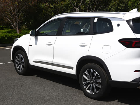 2025�� 290TGDI �Զ����а� 5��