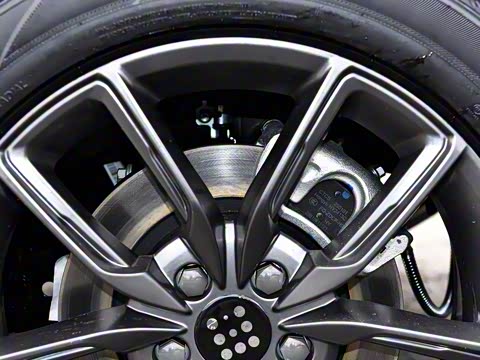 2025�� 165km ������������ 5��