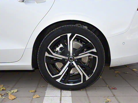 2023�� B5 �����˶���