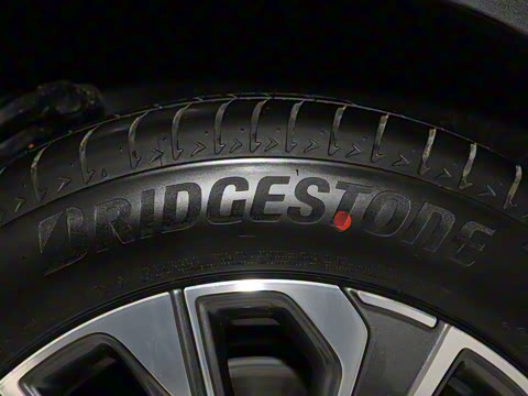 2025�� 25T �����׽��