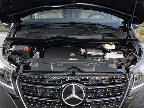 2024�� V 300 �캽��