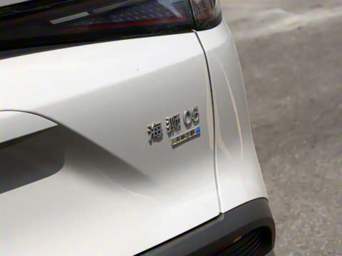 2025�� DM-i �Ǽݰ� 75KM������