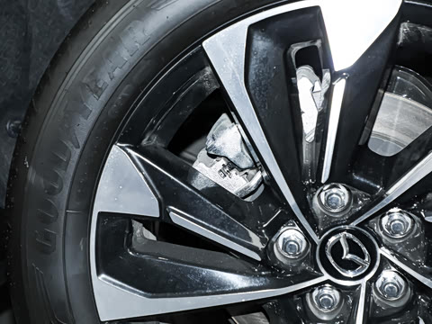 2023�� 2.5L ���а�