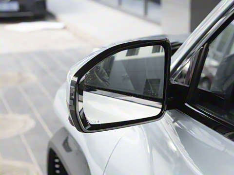 2025�� 501KM ����Max��