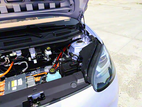 2025�� 333km ������