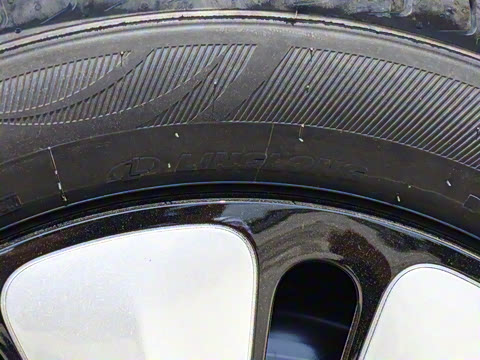 2025�� 333km ������