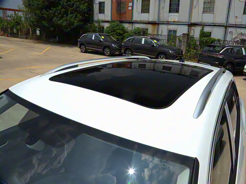 2025�� �Ŀ� ������ 300TSI