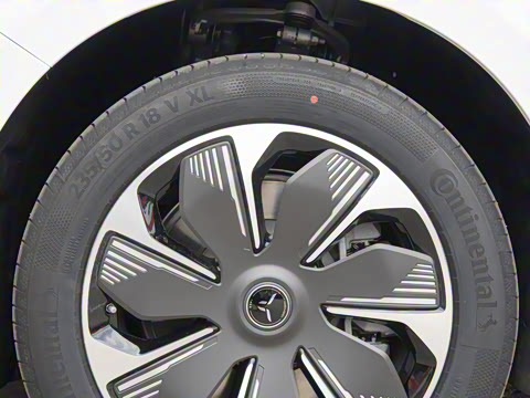 2025�� 550��ѡ��