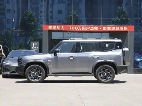 2025�� 2.0TD DCT XWD��Խ