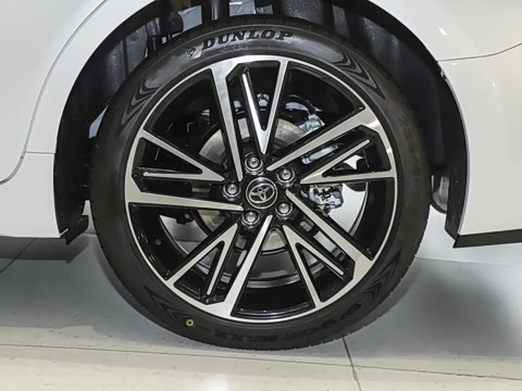 2024�� ˫�� 2.0HS �˶���