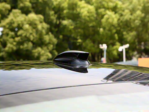 2025�� 500km ���а�