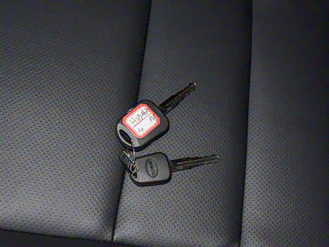 2022�� 1.5L ����ʨ�ͳ� 7��