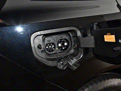 2025�� 636Max���Ȱ� 6��