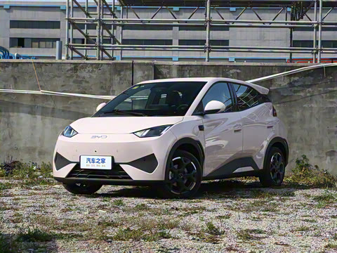 2025�� �Ǽݰ� 305km ���ɰ�