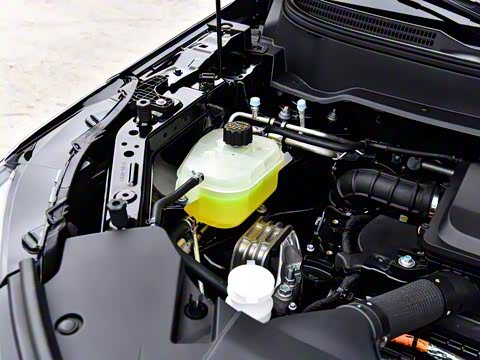 2025�� 165km ������������ 5��