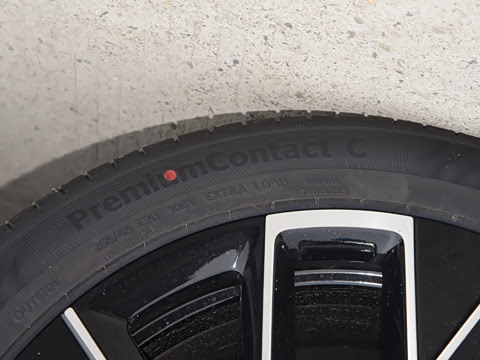 2025�� Max�����