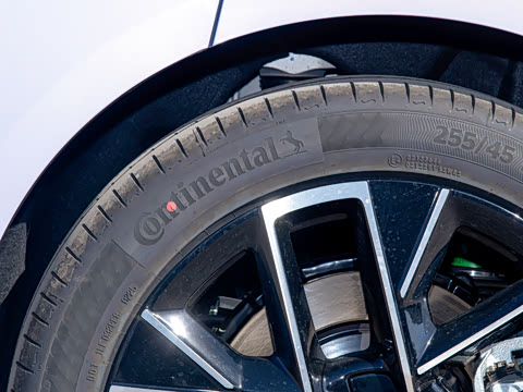 2025�� Max���̰�