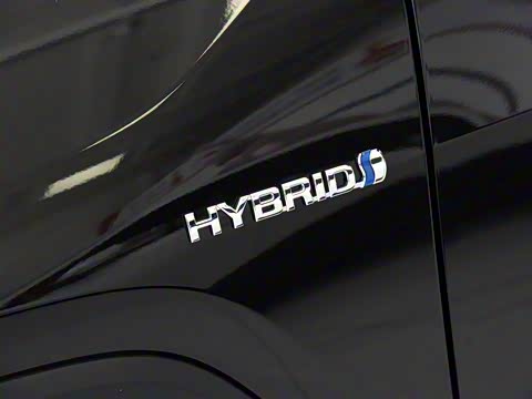 2020�� ˫�� 2.5L E-CVT����������