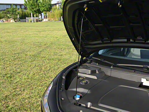 2025�� 600 �������� Max