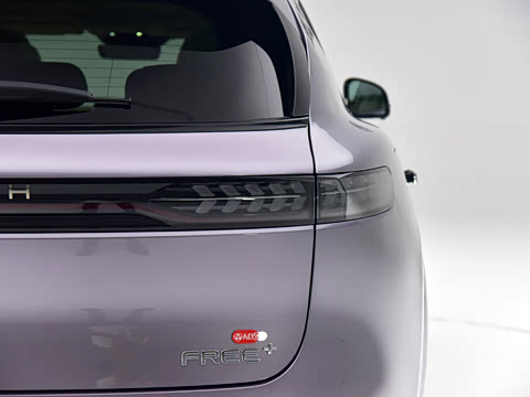 2025�� FREE+ ����Ǭ����