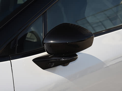 2025�� �������� Max �콢��