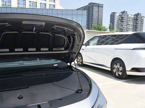 2025�� �������� Max �콢��