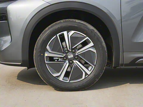 2025�� 55km ̽����