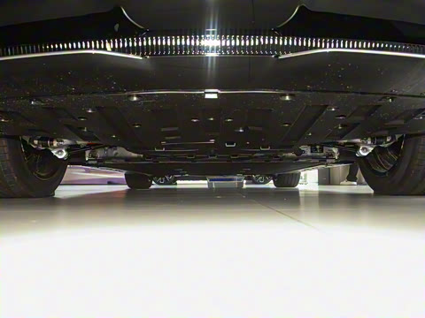 2025�� Max�����