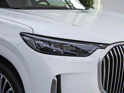 2025�� 1.5T 106KM������ 7�� �������