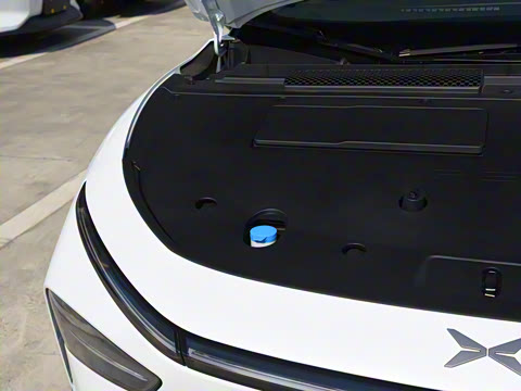 2025�� �������� Max �콢��