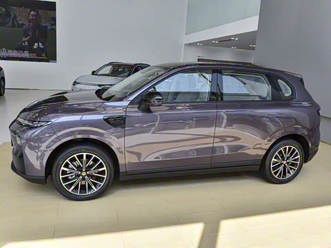 2025�� 600������