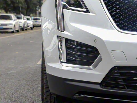 2021�� 28T ���������˶���