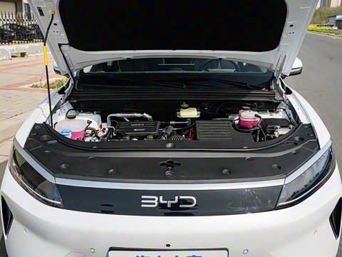 2025�� DM-i �Ǽݰ� 75KM������