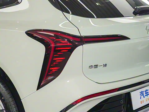 2025�� 520 ��ѡ��