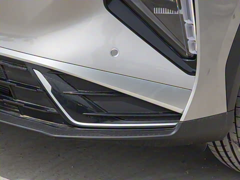 2025�� 3DHT 115km �ǽ���