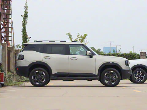 2025�� 2.0TD XWD����