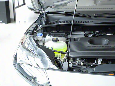 2024�� EcoBoost 245 ����������