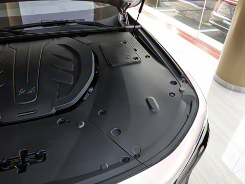 2022�� 3.0T ��������������